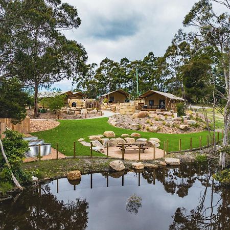 ホテル Glamping 148 Tasmania セントへレンズ エクステリア 写真