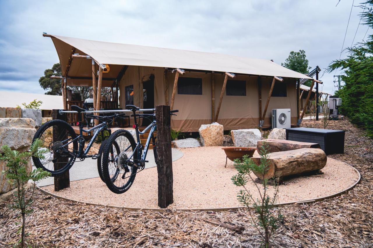 ホテル Glamping 148 Tasmania セントへレンズ エクステリア 写真