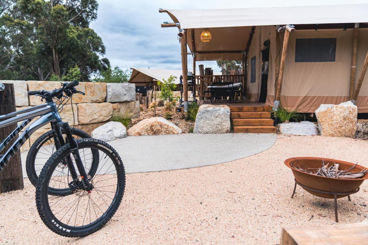ホテル Glamping 148 Tasmania セントへレンズ エクステリア 写真