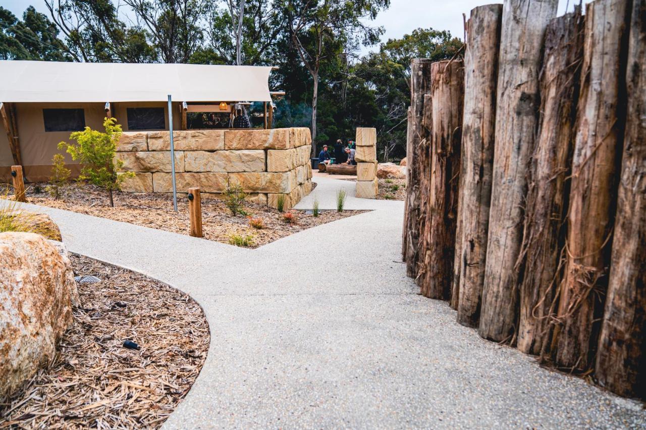 ホテル Glamping 148 Tasmania セントへレンズ エクステリア 写真