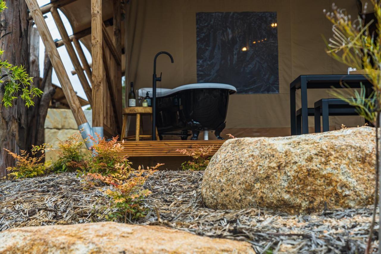 ホテル Glamping 148 Tasmania セントへレンズ エクステリア 写真